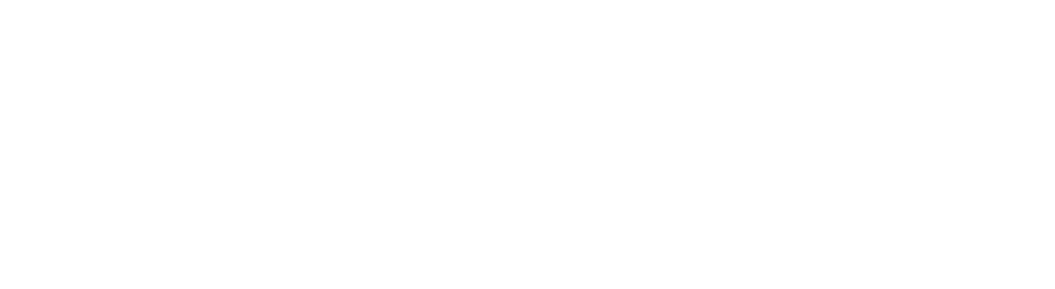 Aegis Fox